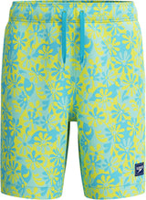Speedo Boy's Swim Trunk Mid Length Redondo Printed
