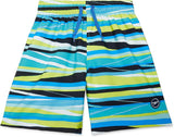 Speedo Boy's Swim Trunk Mid Length Redondo Printed